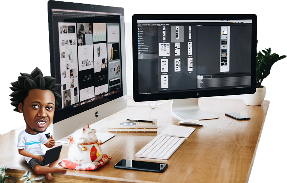 Standard Pro Web Development